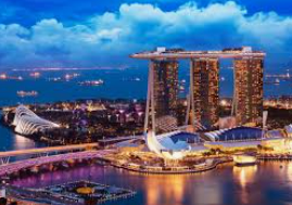 黄金网站app免费最新版